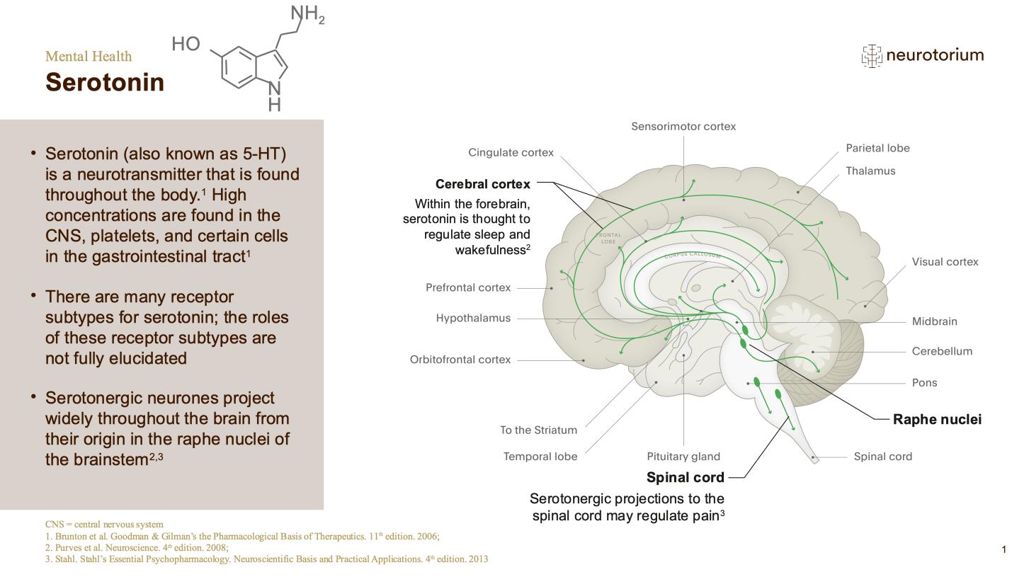 Mental Health – Fundamentals of Neurobiology – slide 18